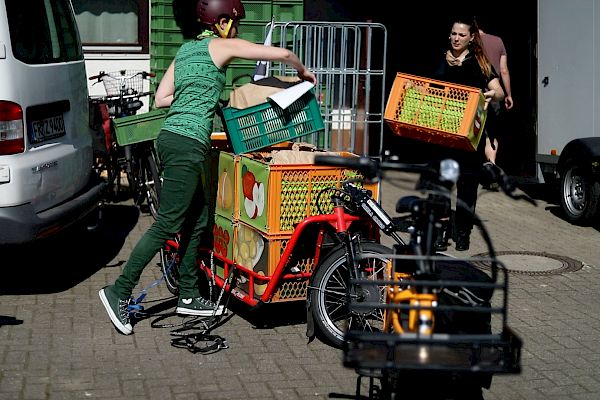 Carla Cargo Test: Der Fahrradanhänger für die schweren Lasten